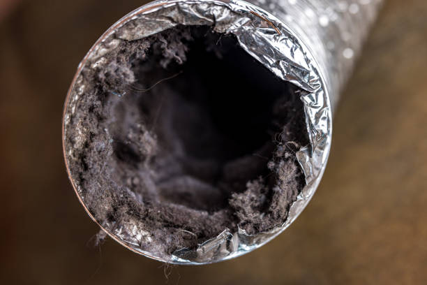 Best Ductwork Cleaning Services  in Spring House, PA
